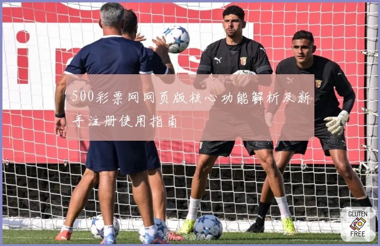 500彩票网网页版核心功能解析及新手注册使用指南